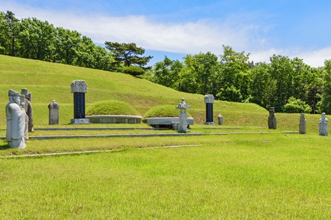 합천묘지이장M