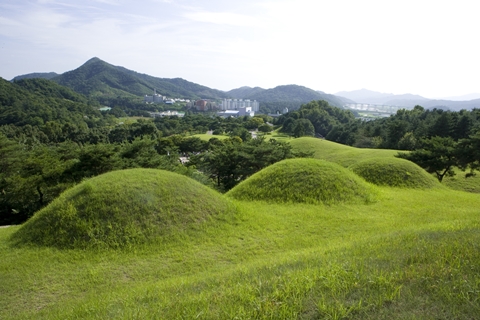 합천묘지이장M